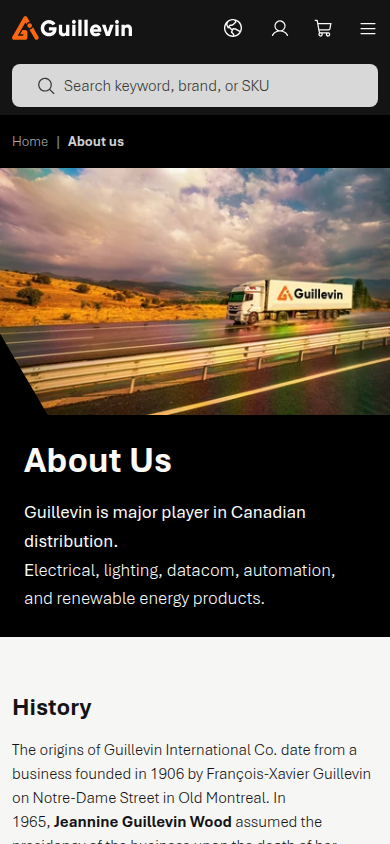Guillevin International official website captured at a 390 by 844 mobile viewport